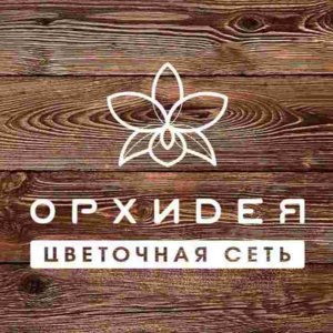  Вятские Поляны